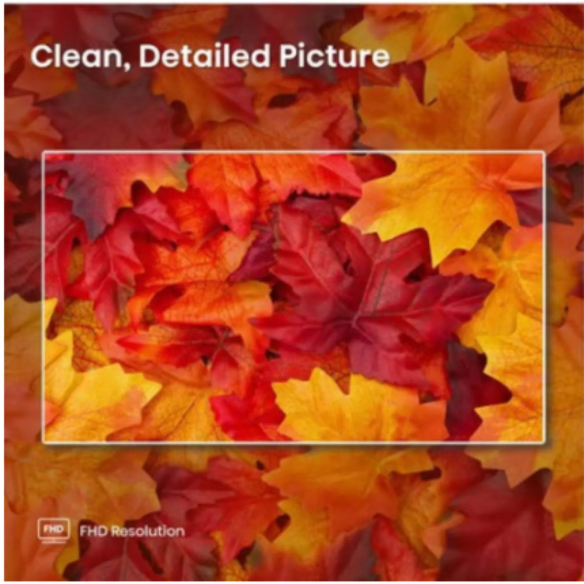 Hisense 50R6E4 50-Inch Class 4K 2160p Ultra HD Smart LED TV(Refurbished)