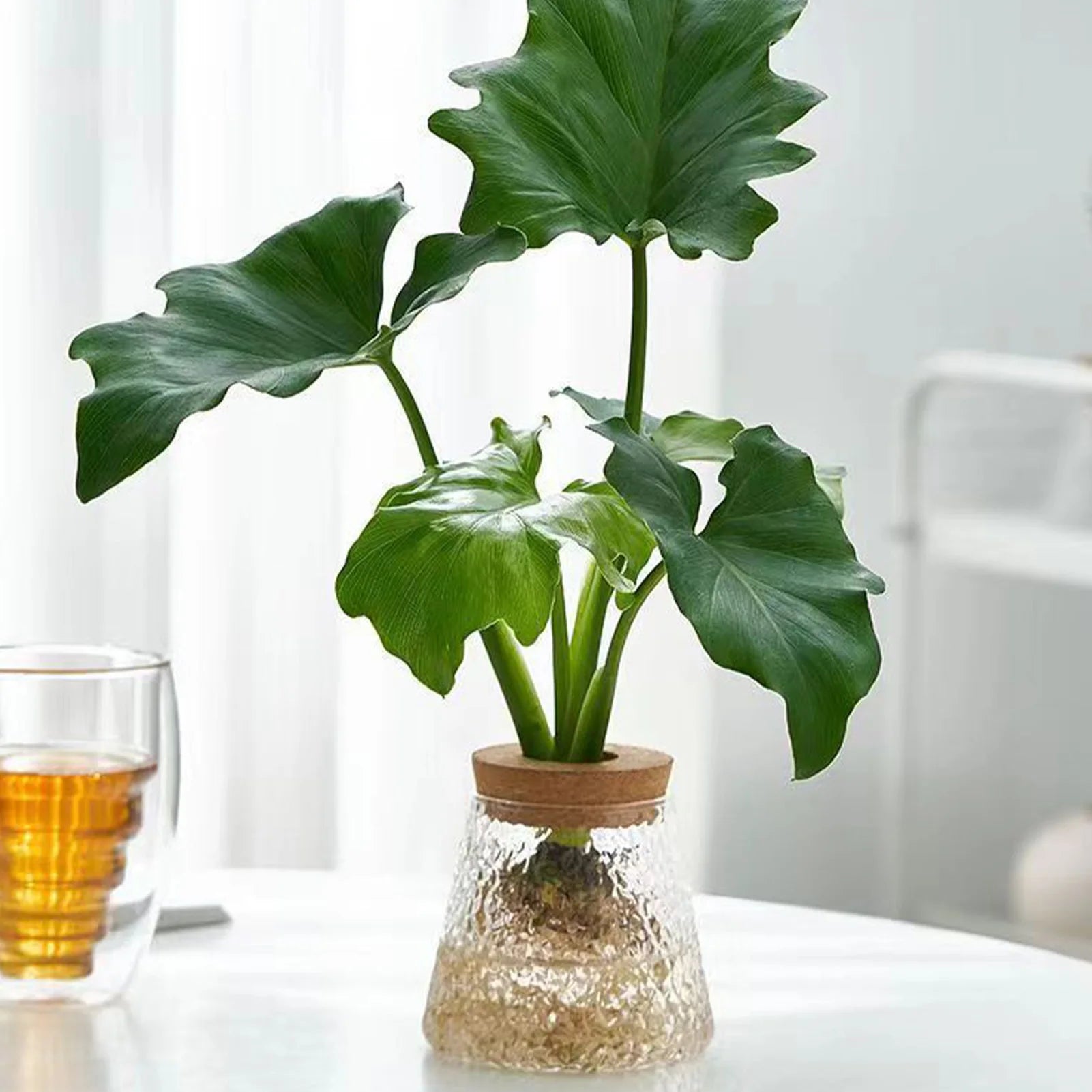 Glass Planter Terrarium Flower Vase with Reliable Materials Mini Vase Party Table Decor Suitable for Indoor Home Office