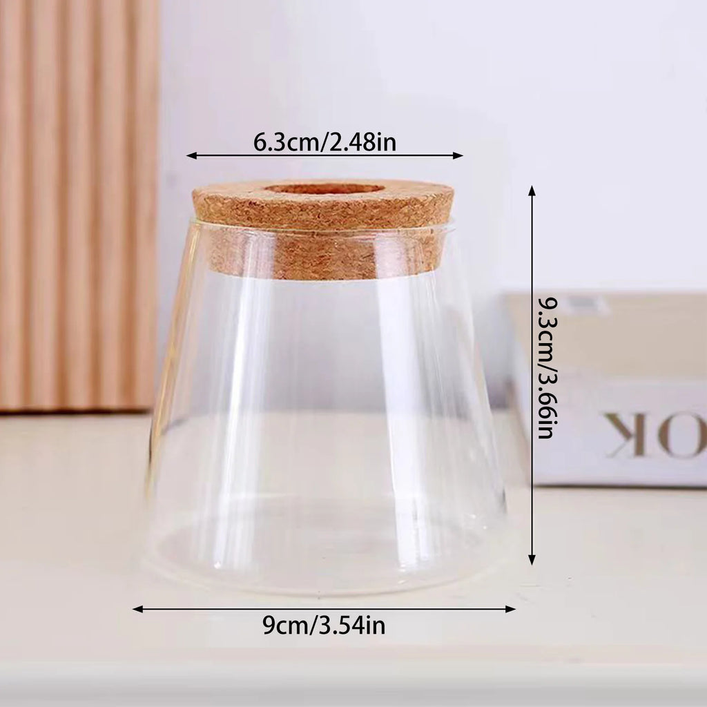 Glass Planter Terrarium Flower Vase with Reliable Materials Mini Vase Party Table Decor Suitable for Indoor Home Office