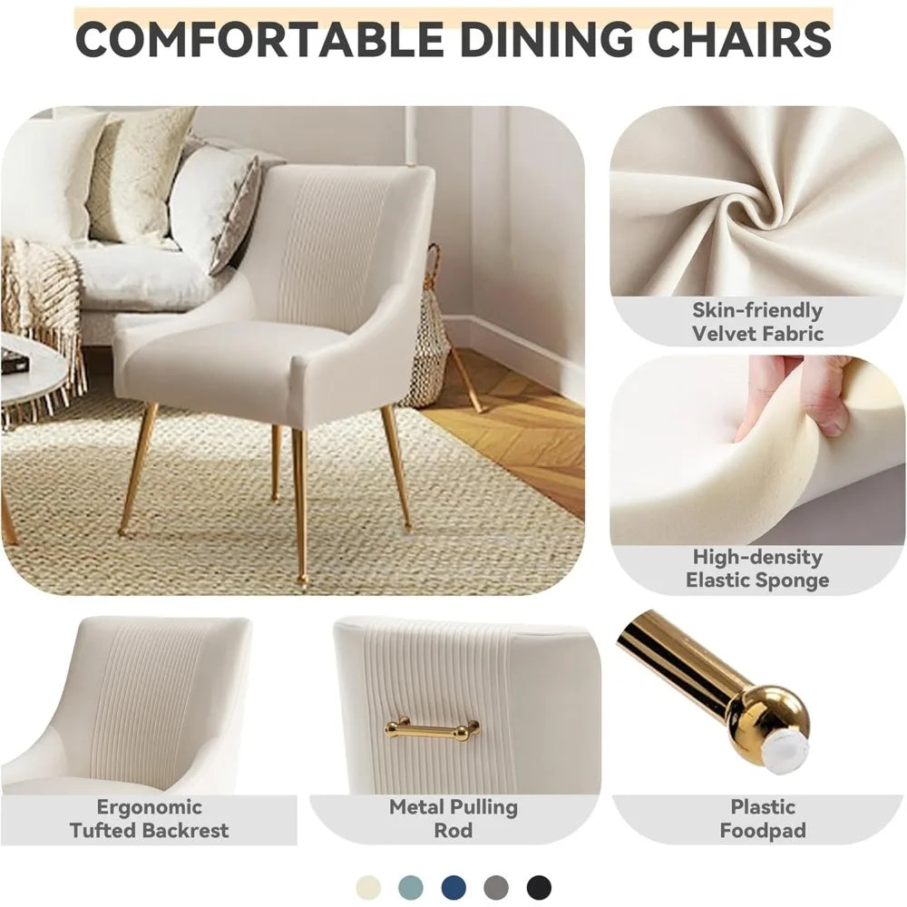 Pair of Velvet-Covered Dining Chairs with Gold Legs for Elegant Living and Reception Spaces