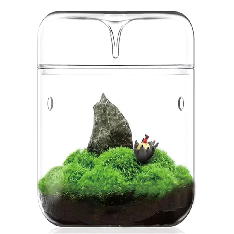 Glass Bottles Creativity Dew Collection Glass Vase Micro Landscape Succulent Moss Landscape Glass Terrarium Home Decor