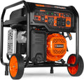 WEN DF8000X 8000-Watt Dual Fuel Electric Start Generator with CO Watchdog