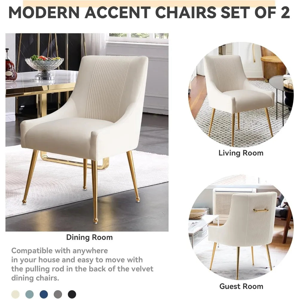 Pair of Velvet-Covered Dining Chairs with Gold Legs for Elegant Living and Reception Spaces