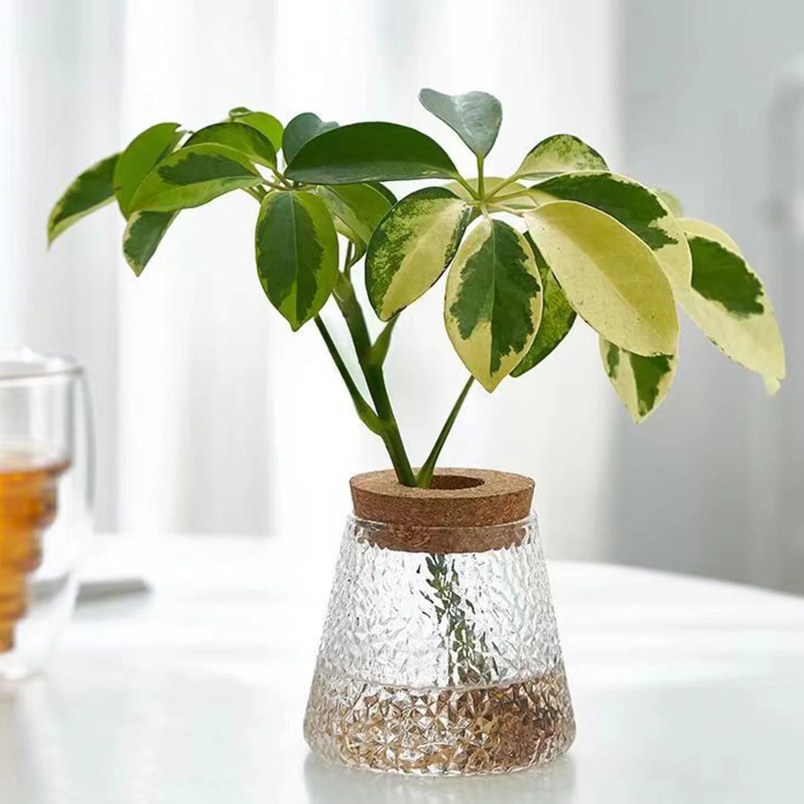 Glass Planter Terrarium Flower Vase with Reliable Materials Mini Vase Party Table Decor Suitable for Indoor Home Office