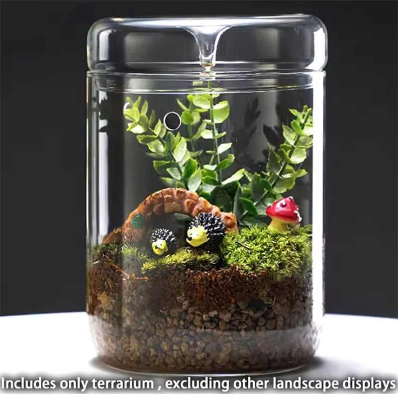 Glass Bottles Creativity Dew Collection Glass Vase Micro Landscape Succulent Moss Landscape Glass Terrarium Home Decor